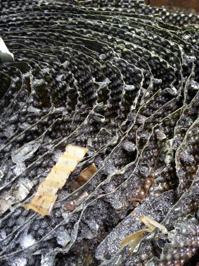 용인 경기냉동 80RT 원형 냉각탑 보수공사